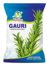 रिसर्च ग्वार गौरी